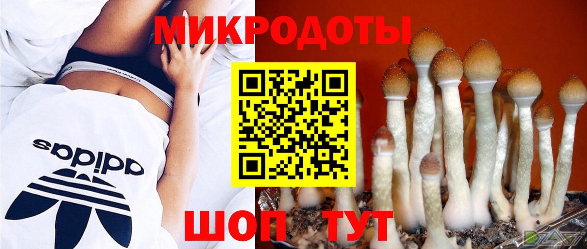 Псилоцибиновые грибы MAGIC MUSHROOMS Нурлат